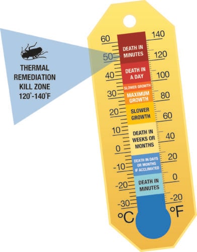 Bedbug Heat Killzone