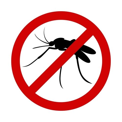 No Mosquitos