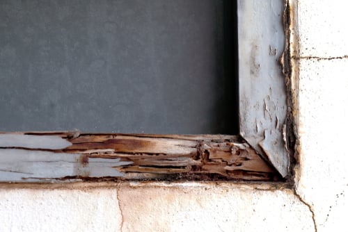 Rotted Window Frame