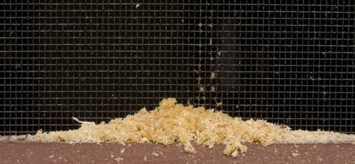 Sawdust Of Termite Damage